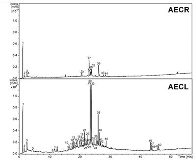 Leaf and Root Extracts from Campomanesia adamantium (Myrtaceae) Promote Apoptotic Death of Leukemic Cells via Activation of Intracellular Calcium and Caspase-3